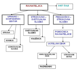 organigram